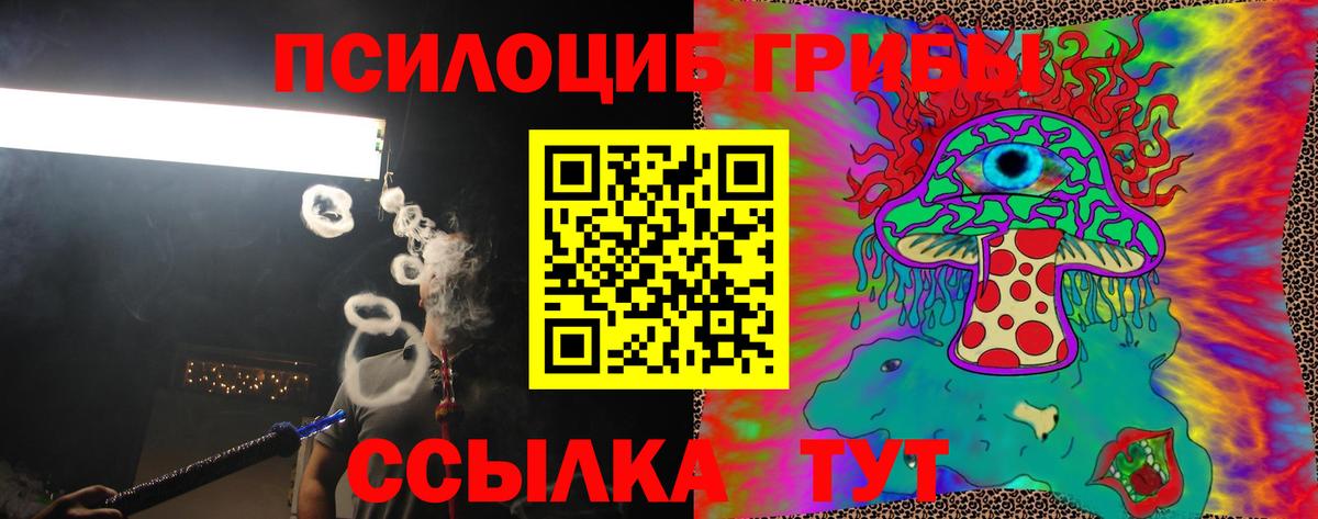 Галлюциногенные грибы Psilocybe Тельмана